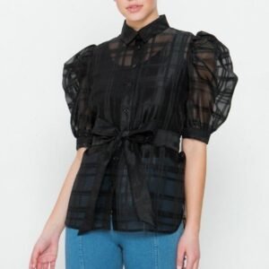 A see-thru mini length organza top